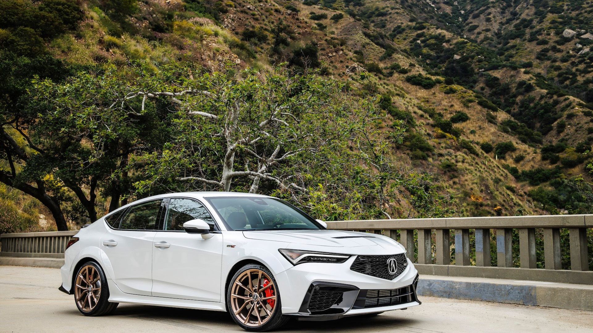 1920x1080 Acura Integra Type S plays well with kids and adults