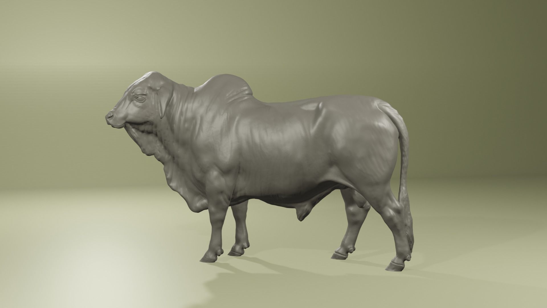 1920x1080 Zebu Brahman cow bull realistic model for printing 3D model 3D printable