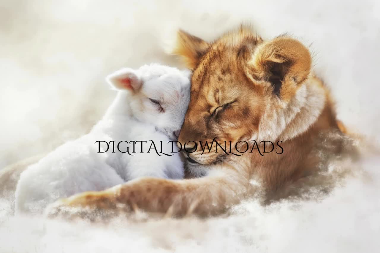 1280x852 Lion and Lamb Watercolor Print: Peaceful Nursery Art (digital Download)