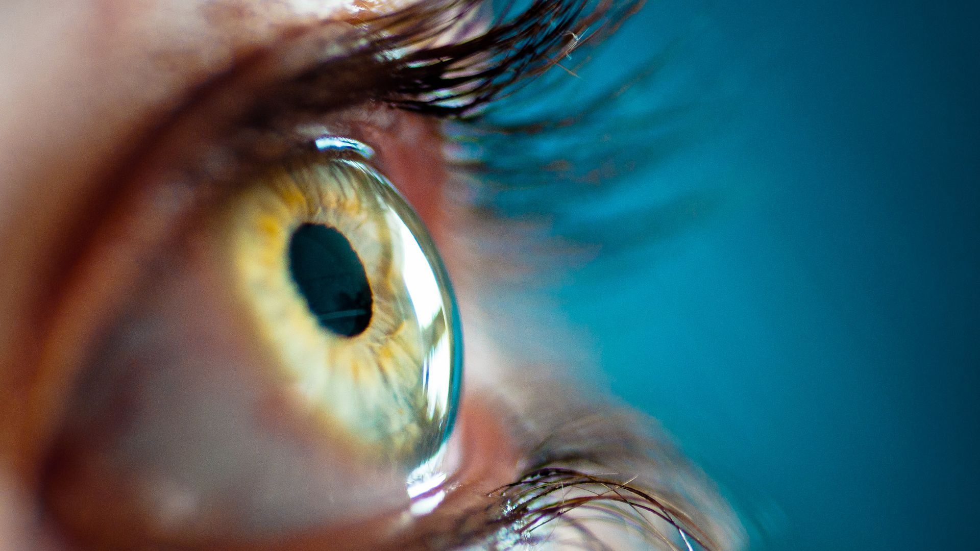 1920x1080 Ophthalmology Wallpaper
