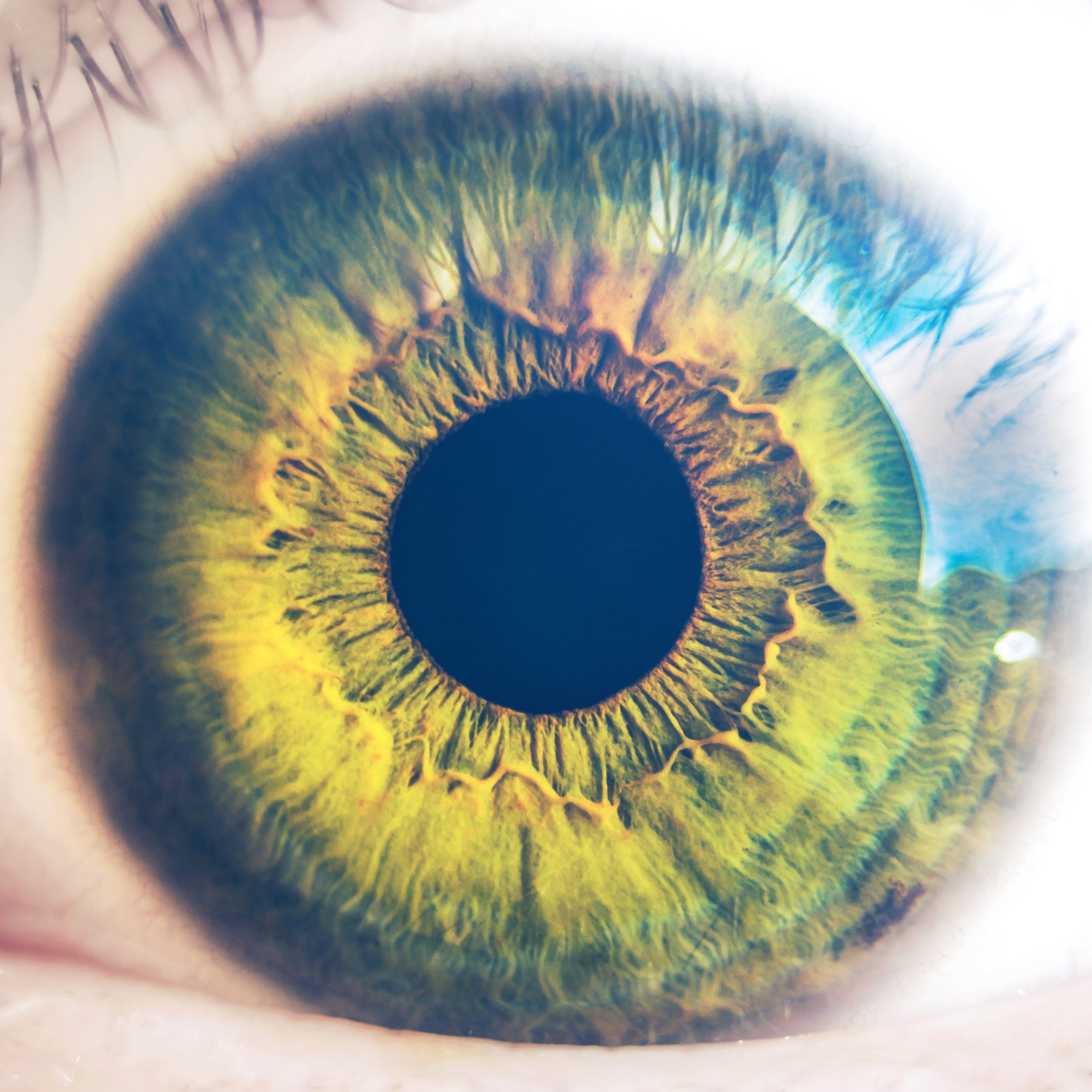 2732x2732 Ophthalmology Wallpaper