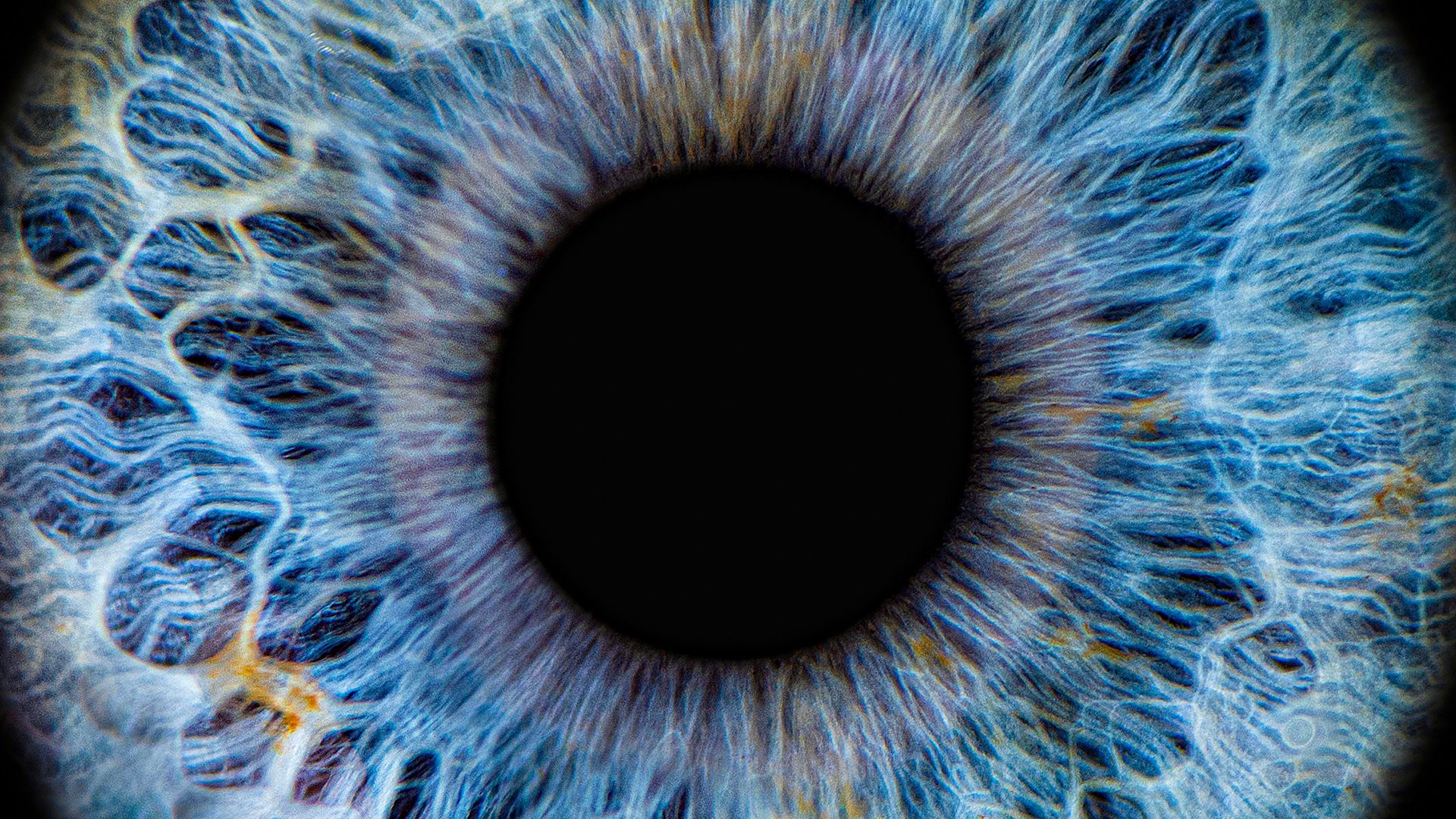 1920x1080 Ophthalmology