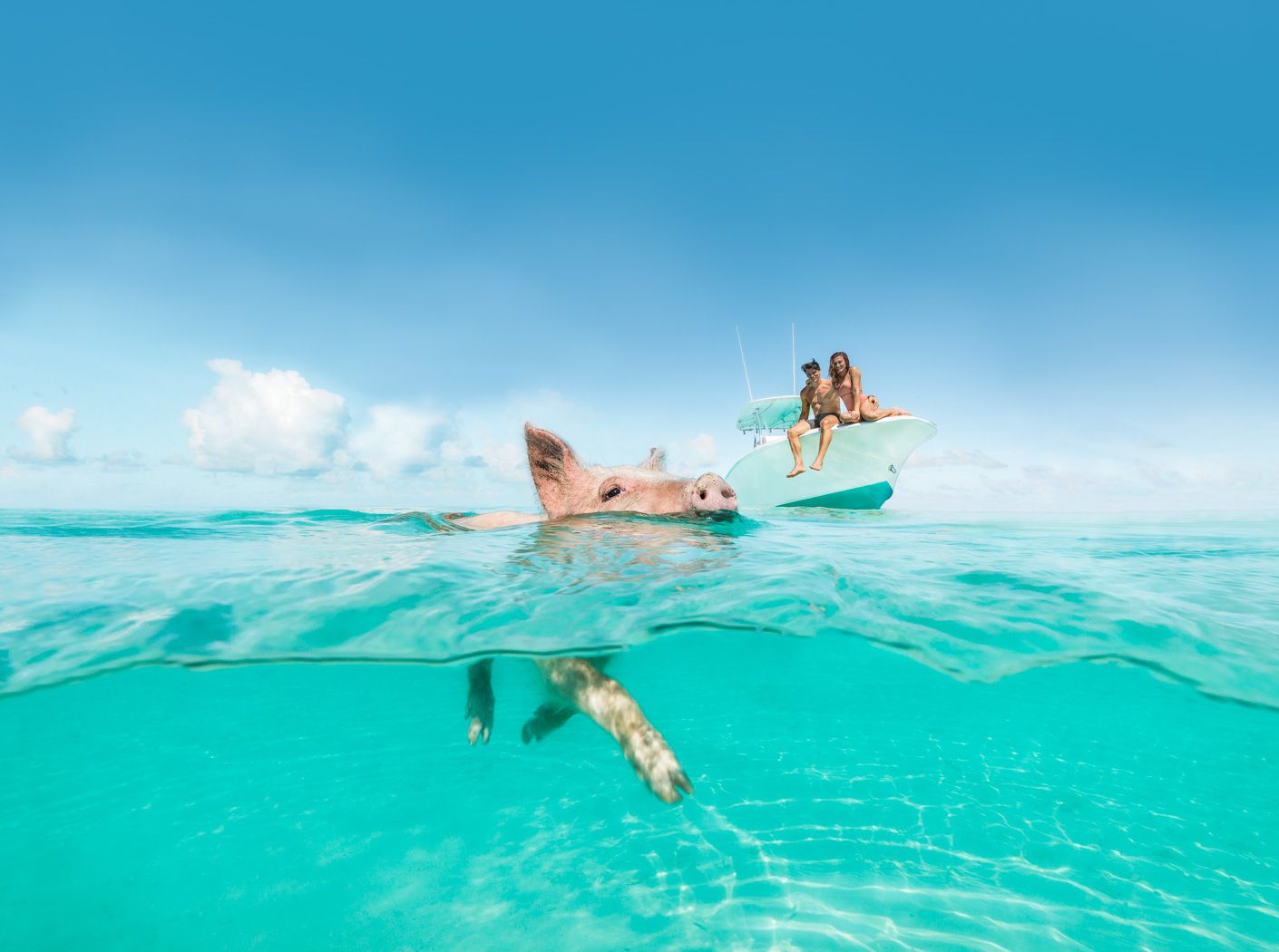 1410x1050 Swimming Pigs Day Tour in Exuma Cays: My Best Day Ever! Cay Adventures, Exuma Cays
