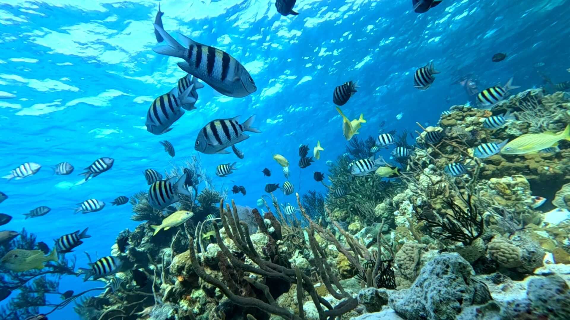 1920x1080 Exuma Cays, Bahamas