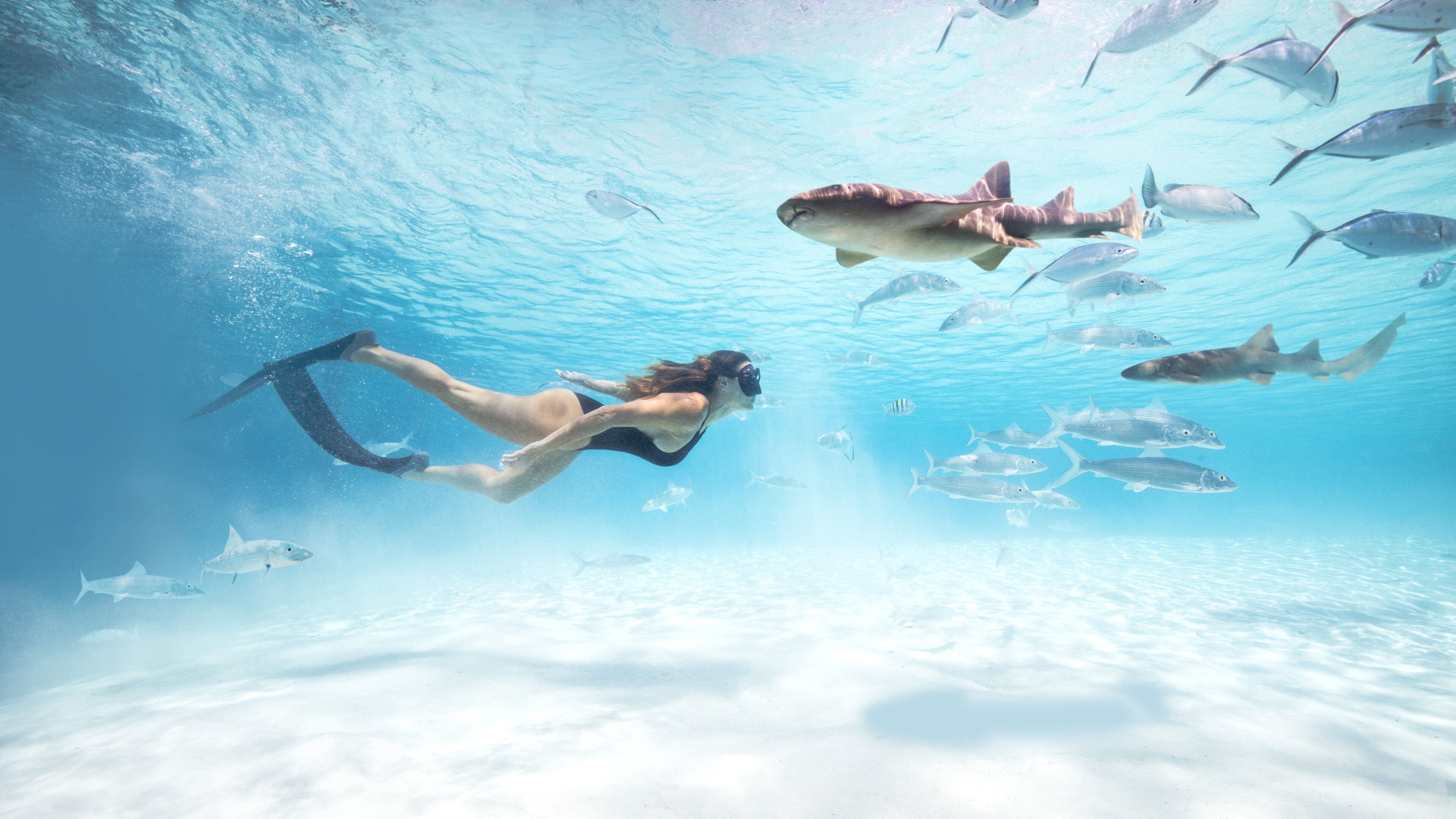 3840x2160 Visit Exuma: 2026 Travel Guide for Exuma, Bahamas