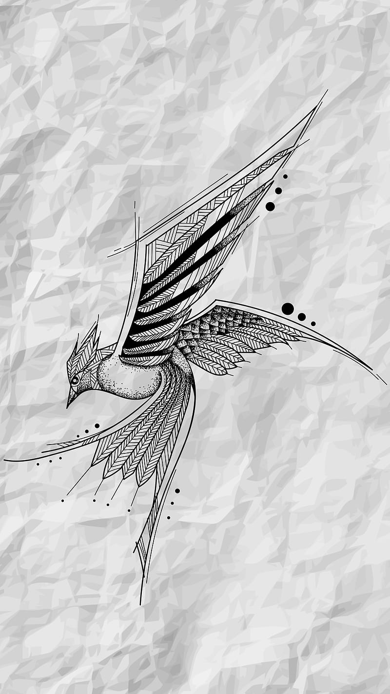 800x1422 HD hand sketch wallpaper