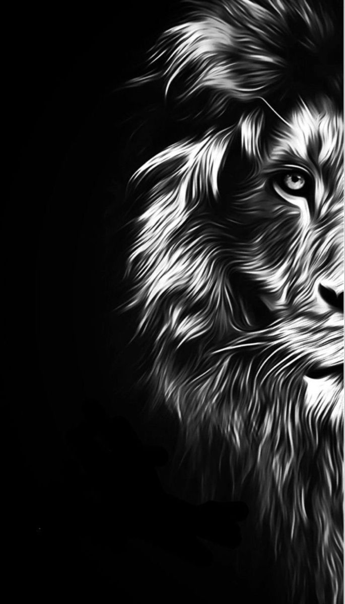 685x1200 Animal drawings. wallpaper ideas. wallpaper background. iPhone wallpaper wallpaper for iphone