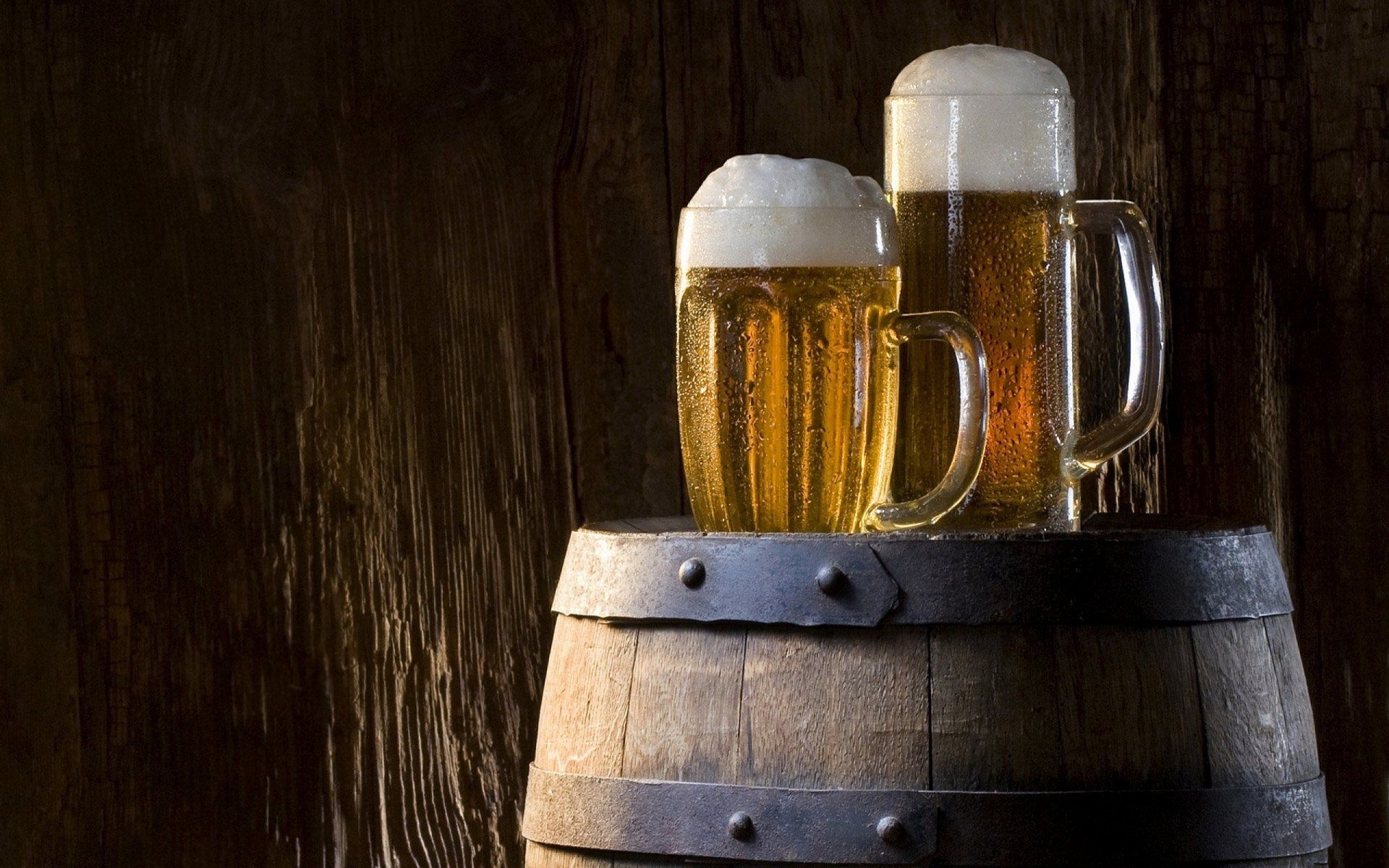 1920x1200 Cheers to Flavor: HD Beer & Food Delight Wallpaperx1600