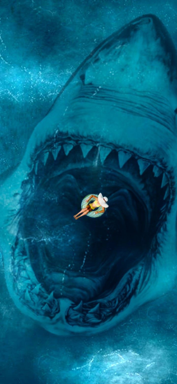 720x1560 Imágenes de tiburones. Fotos de león, Monstruos marinos, Animales de la naturaleza