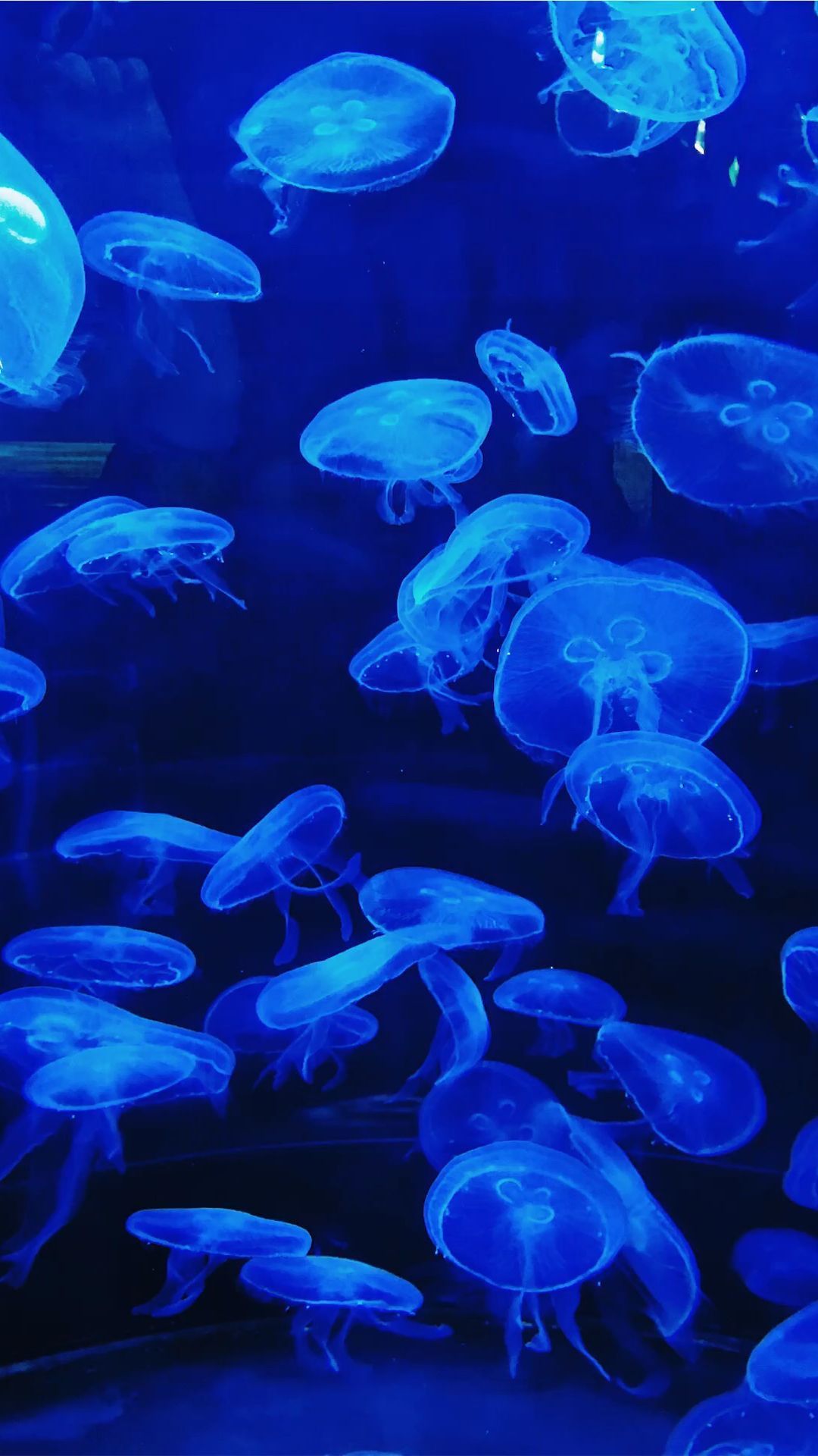 1080x1920 Blue ideas. blue wallpaper, baby blue aesthetic, blue aesthetic