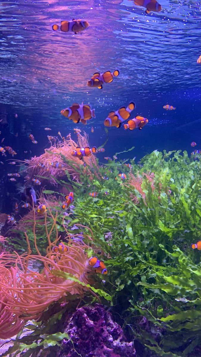 675x1200 Loove ideas. pretty wallpaper, aesthetic wallpaper, art wallpaper