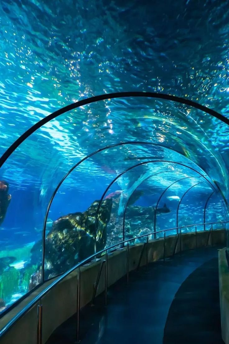 736x1104 Barcelona Attractions