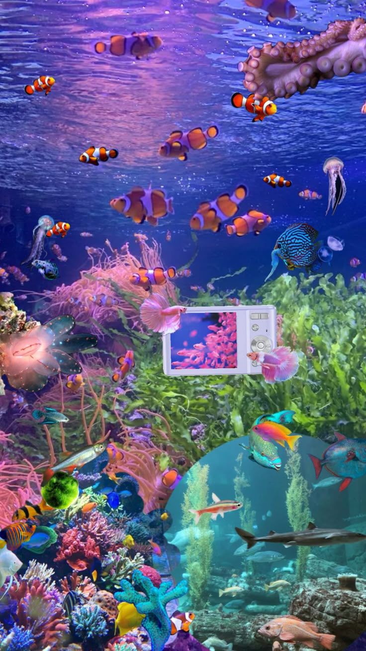 736x1308 Check out velvet_daydreamm's Shuffles #art #wallpaper #vibes #nature #vintage #aquarium #ocean #aesthetic #aestheticboard #aestheticgirl #oceanaesthetic #collageart #collages #blue #blueaesthetic #bluecollage #pink #pinkaesthetic