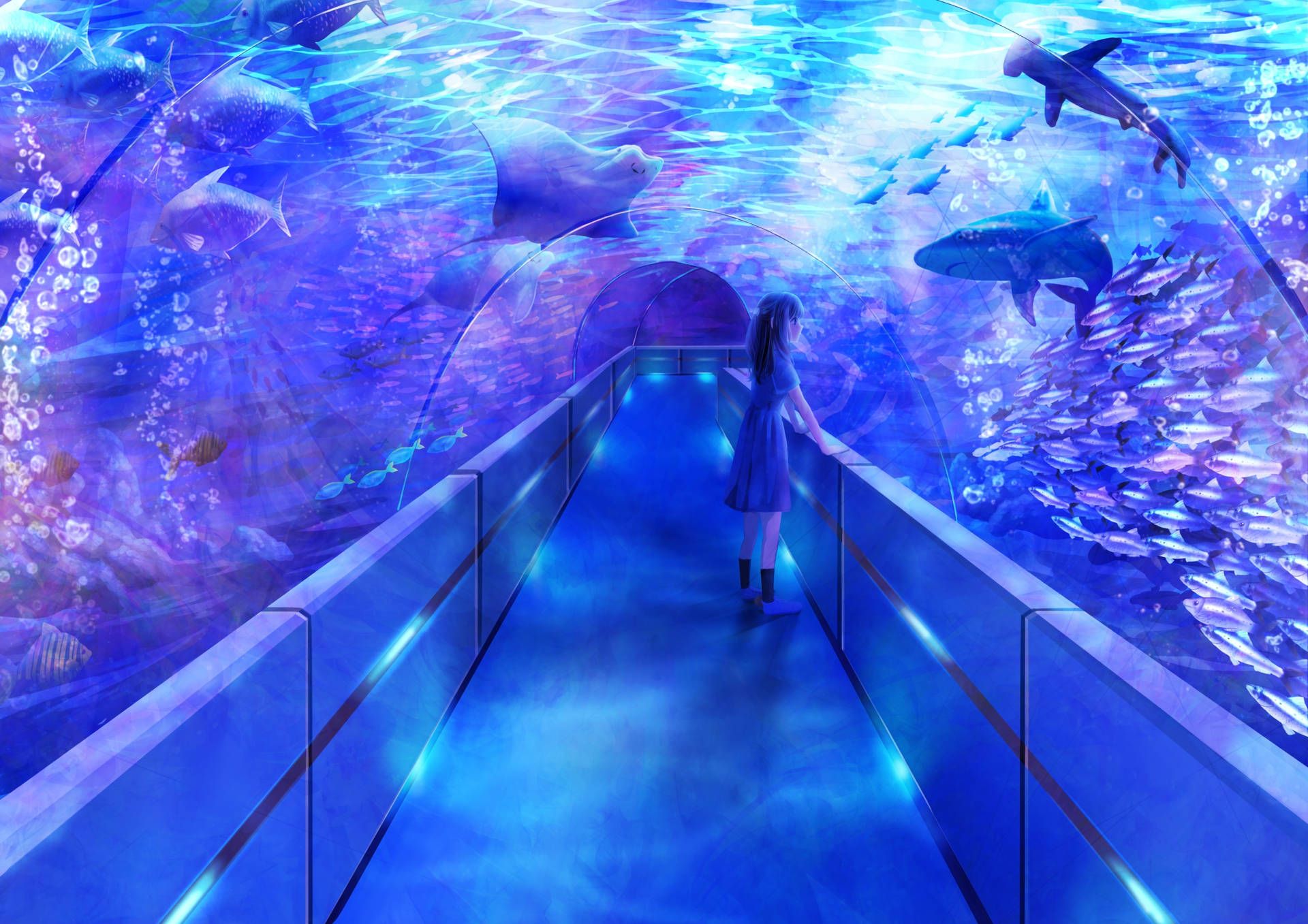 1920x1357 Download Aquarium Wallpaper for FREE [Mobile & Desktop]