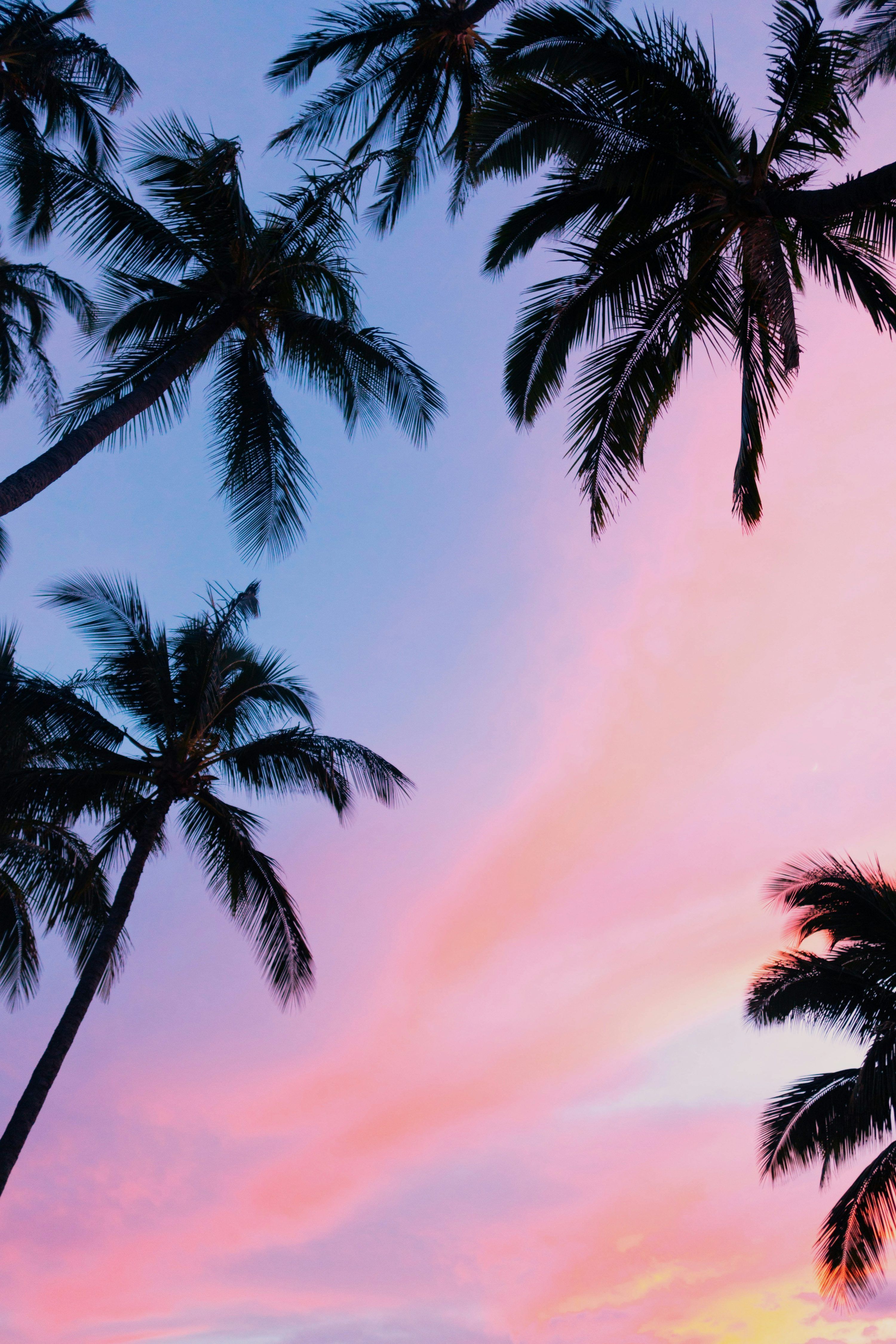 3000x4500 Samsung Wallpaper: Free HD Download [4K]
