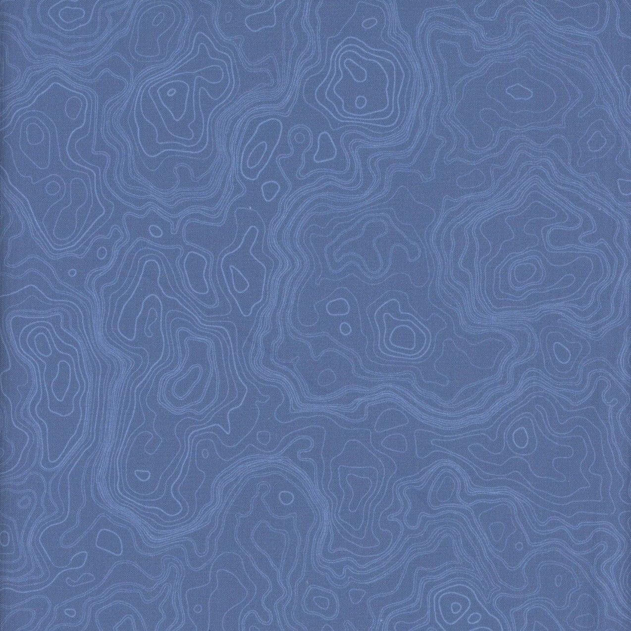 1274x1275 Timeless Treasures Fabrics Path to Freedom Topography Map Denim's of Paducah