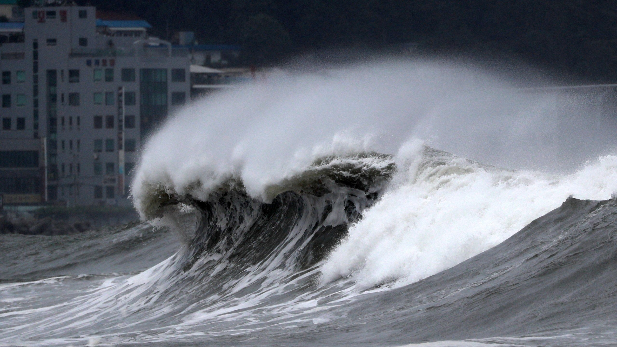 2560x1440 Typhoon batters S. Korea, preparations minimize casualties