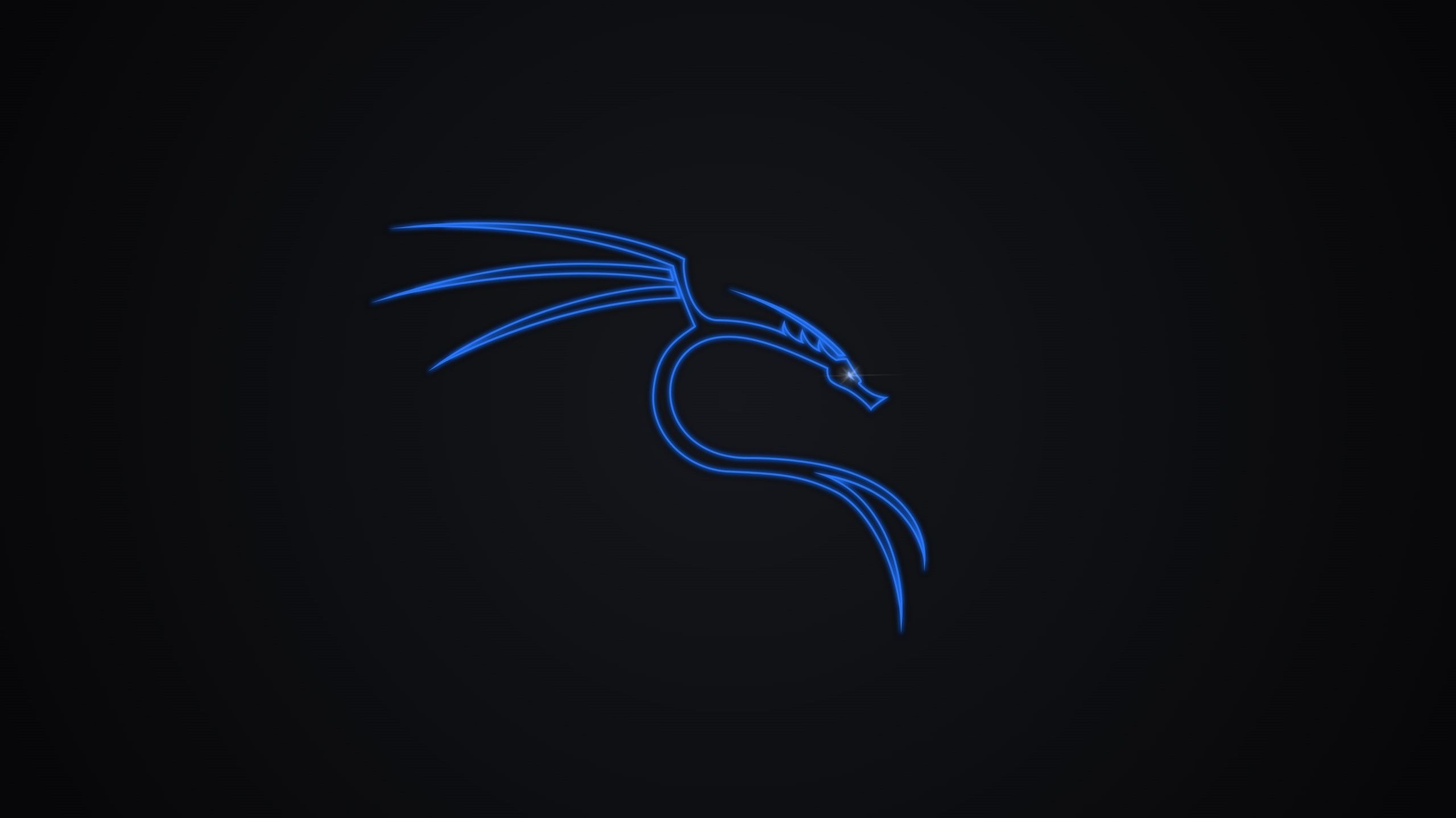 2560x1440 QHD Wallpaperp Wallpaper