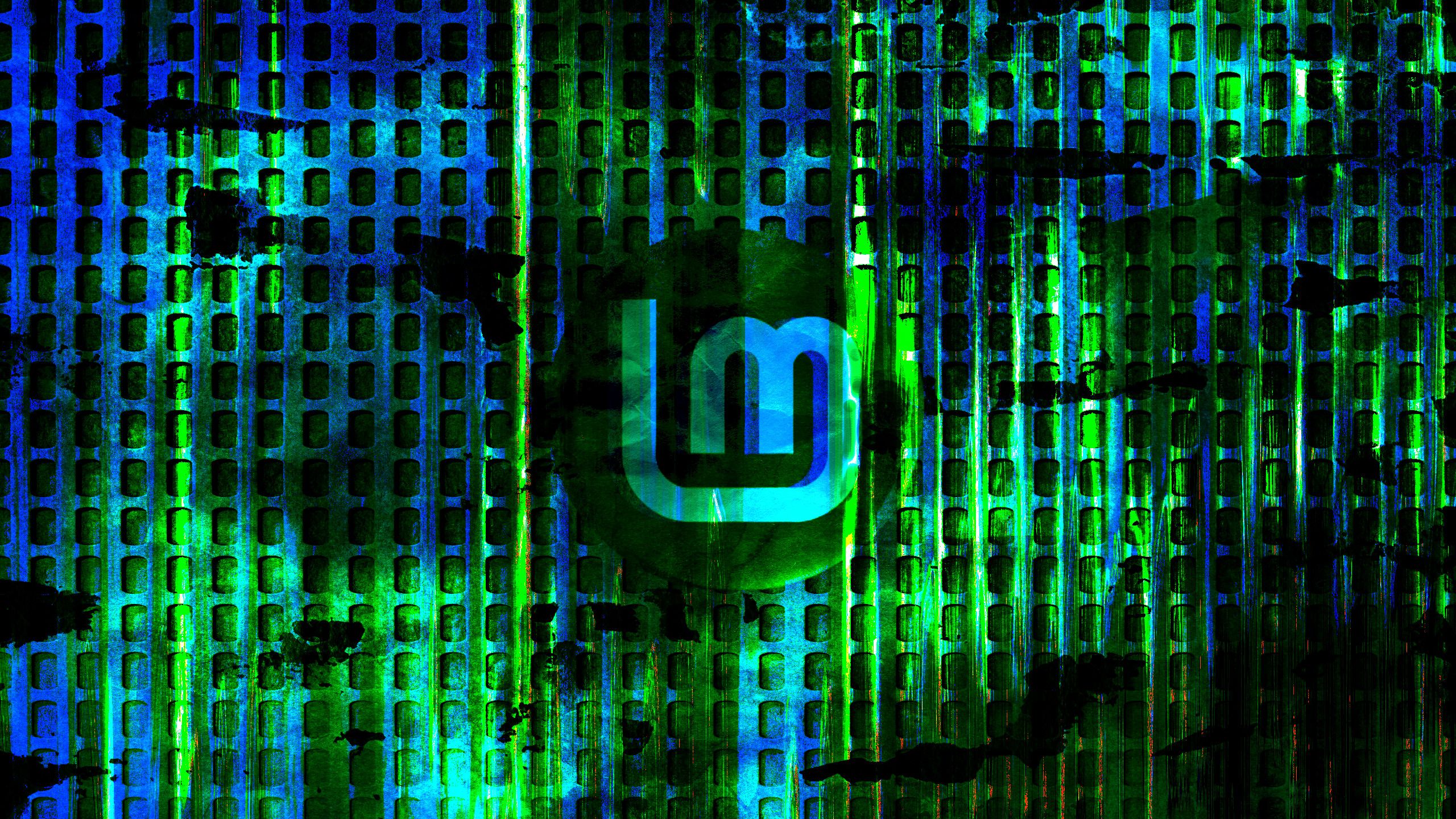 2560x1440 Download Technology Linux Mint HD Wallpaperx1440