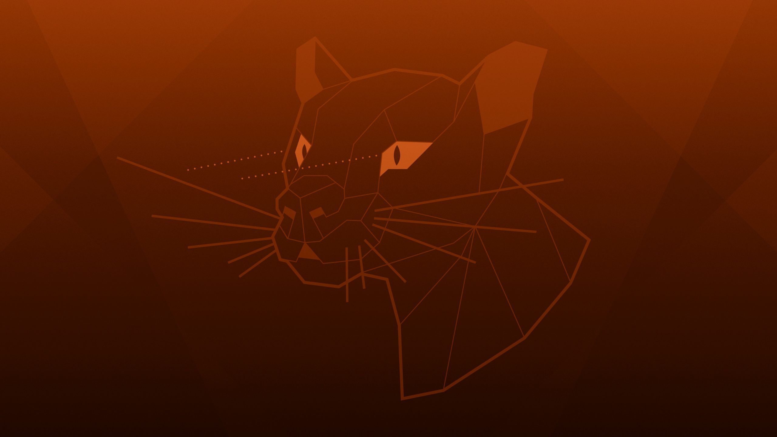 2560x1440 Ubuntu Cinnamon 20.04 LTS Focal Fossa Has Been Released!