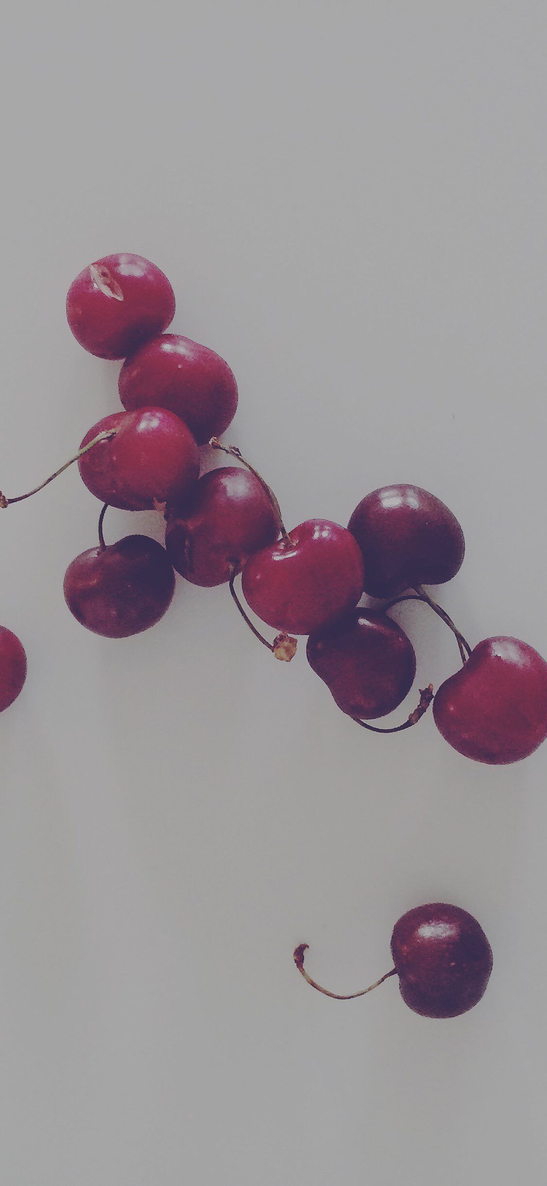 1125x2436 Cherry Red Dark Paula Borowska Fruit Nature iPhone Wallpaper