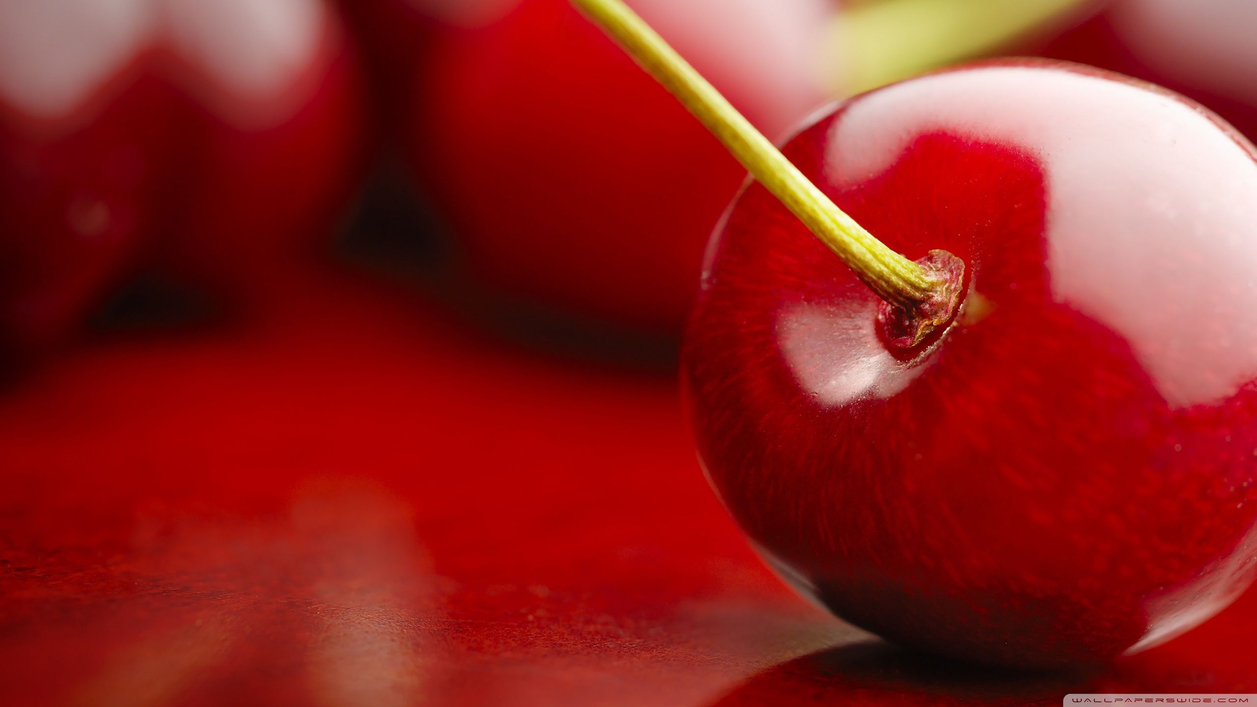 2560x1440 Cherry 4K UHD Wallpaper for UltraHD Desktop and TV : Smartphone and Tablet Devices