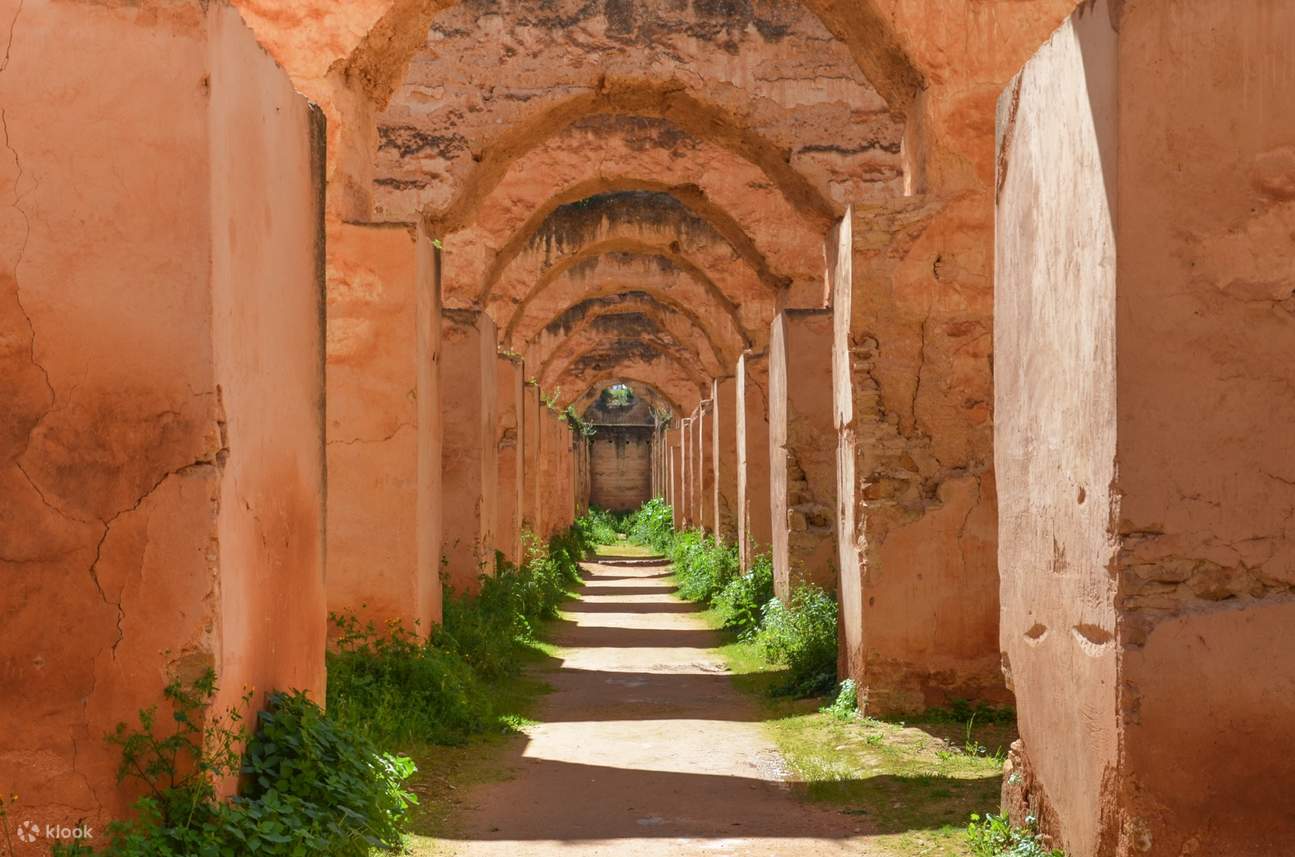 1295x857 Volubilis and Meknes Day Tour from Rabat