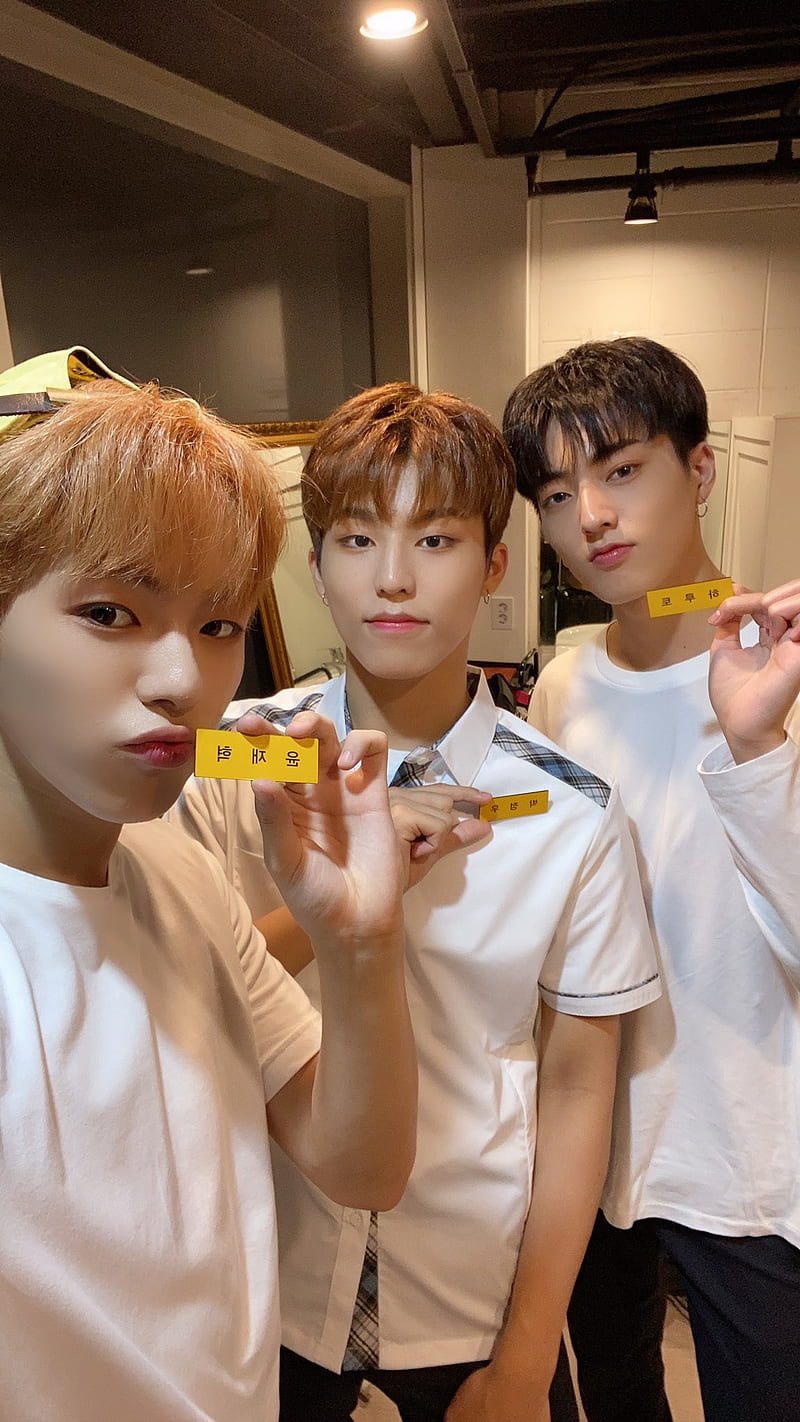 800x1422 JJH, boy, going crazy, haruto, jaehyuk, jeongwoo, kpop, park jeongwoo, treasure, HD phone wallpaper