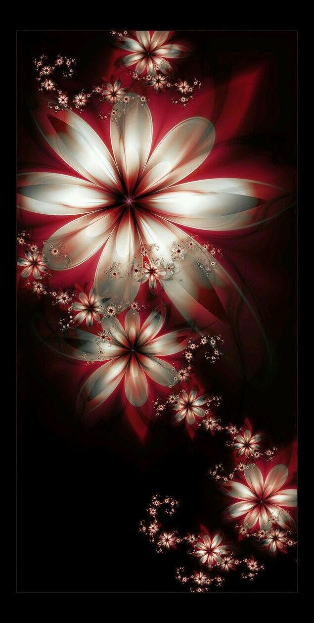 635x1259 Red and White Flowers Wallpaper. Parijs fotografie, Bloemen feeën, Grappige bureaubladachtergronden