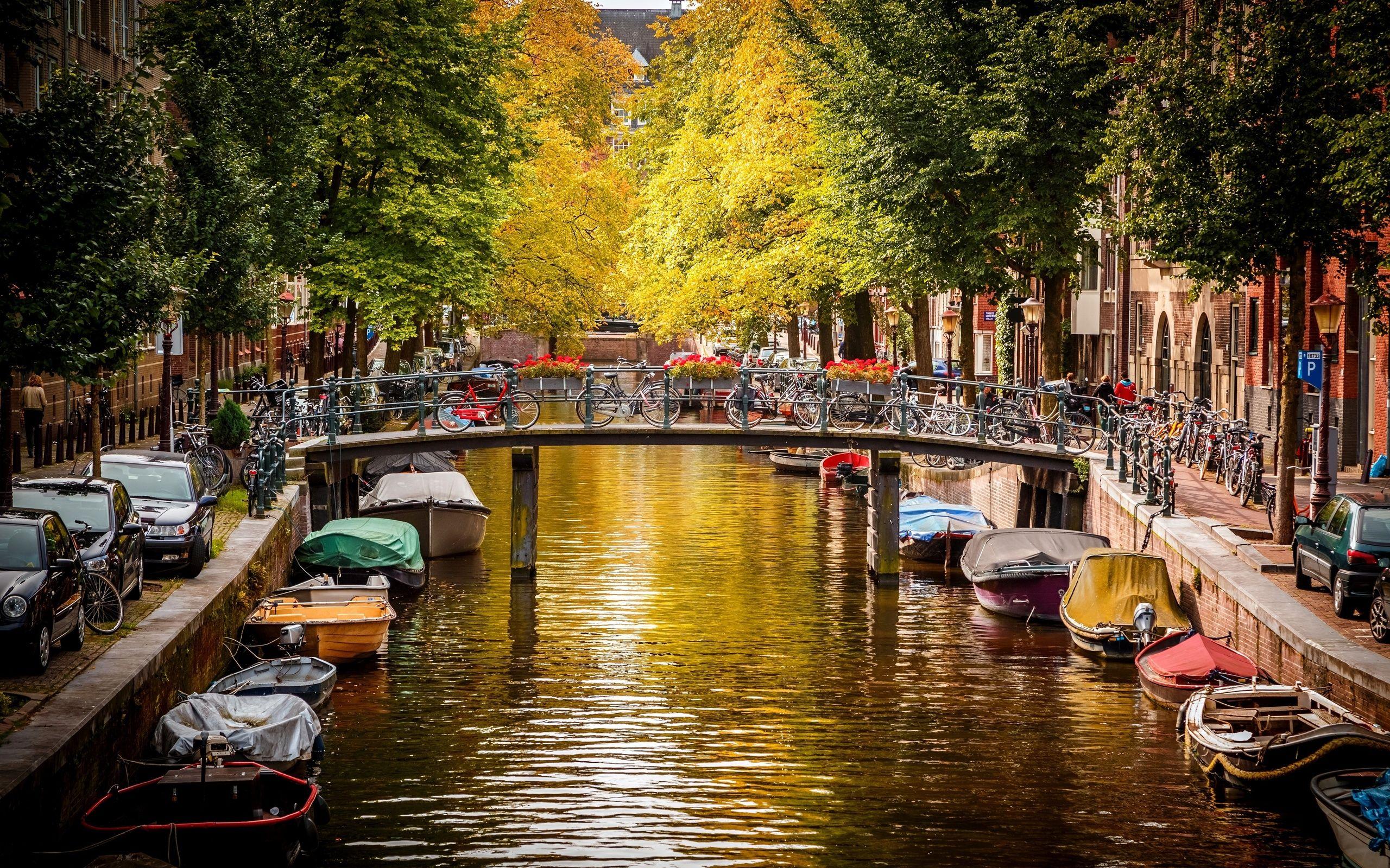 2560x1600 Amsterdam HD Wallpaper 16586