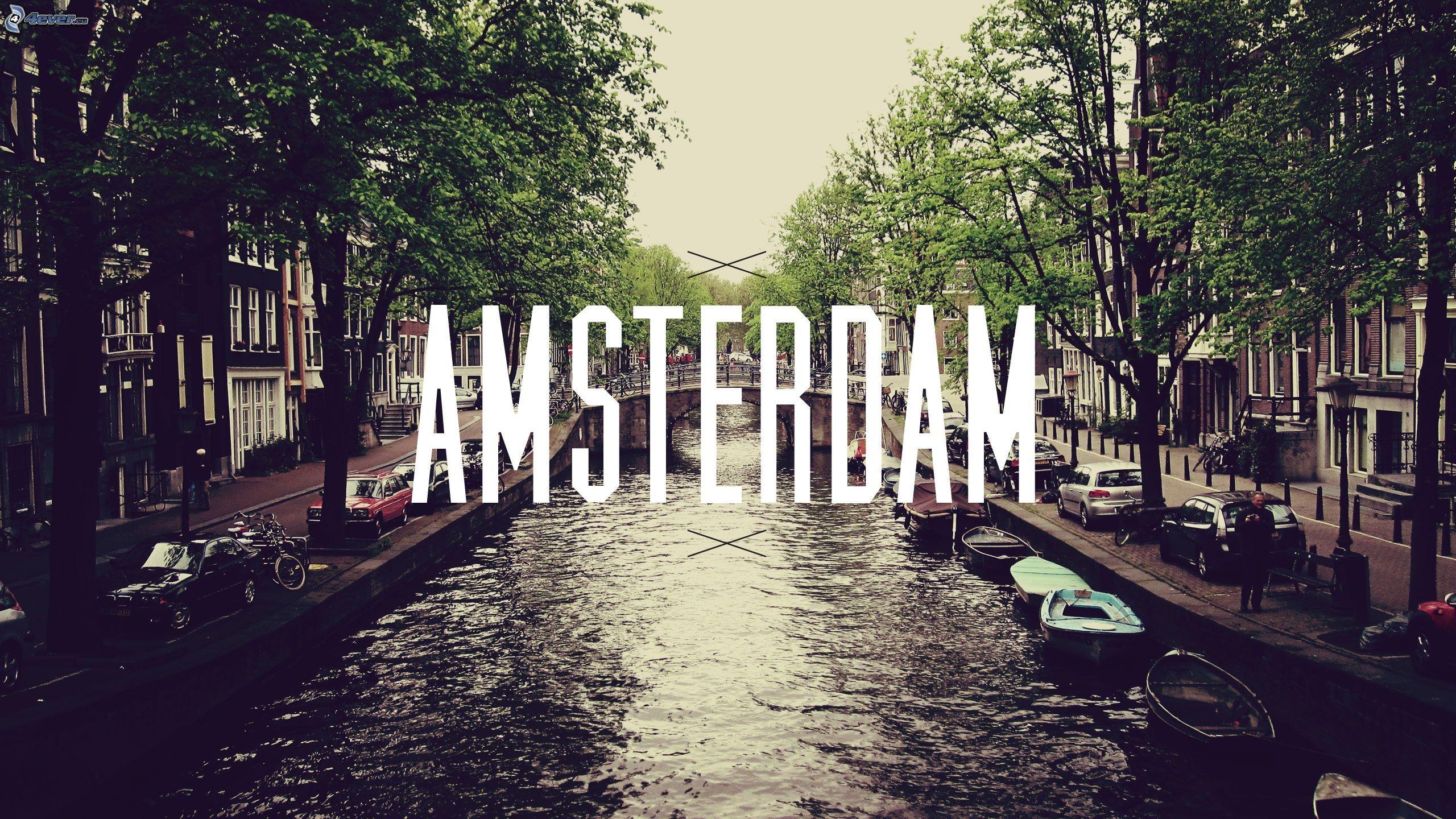 2560x1440 Free download HD Amsterdam Wallpaper HD Desktop Wallpaper Amazing Image [ 2560x1440] for your Desktop, Mobile & Tablet. Explore Amsterdam Wallpaper. Amsterdam Wallpaper, New Amsterdam TV Show Wallpaper
