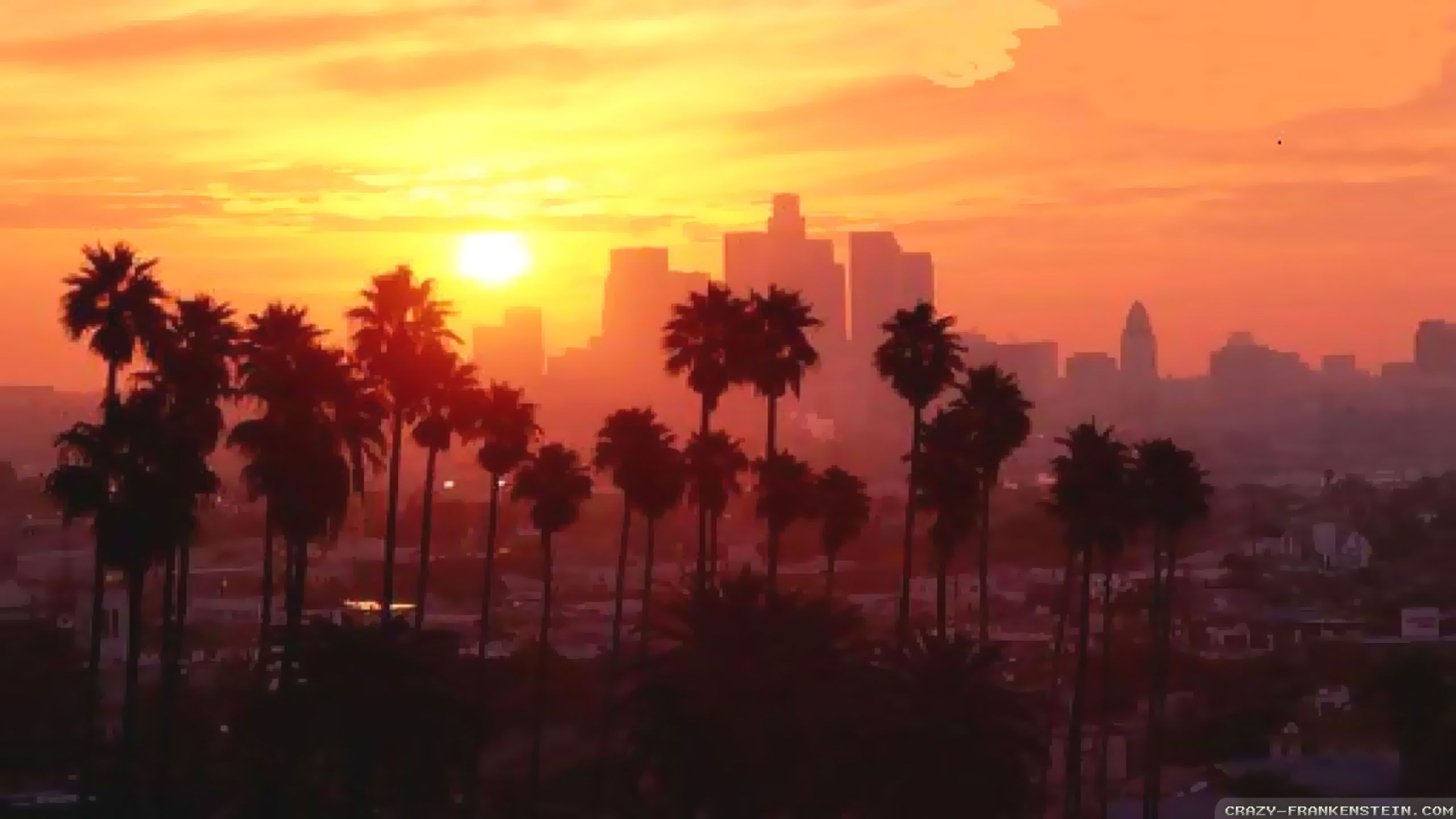 2560x1440 Summer City Wallpaper