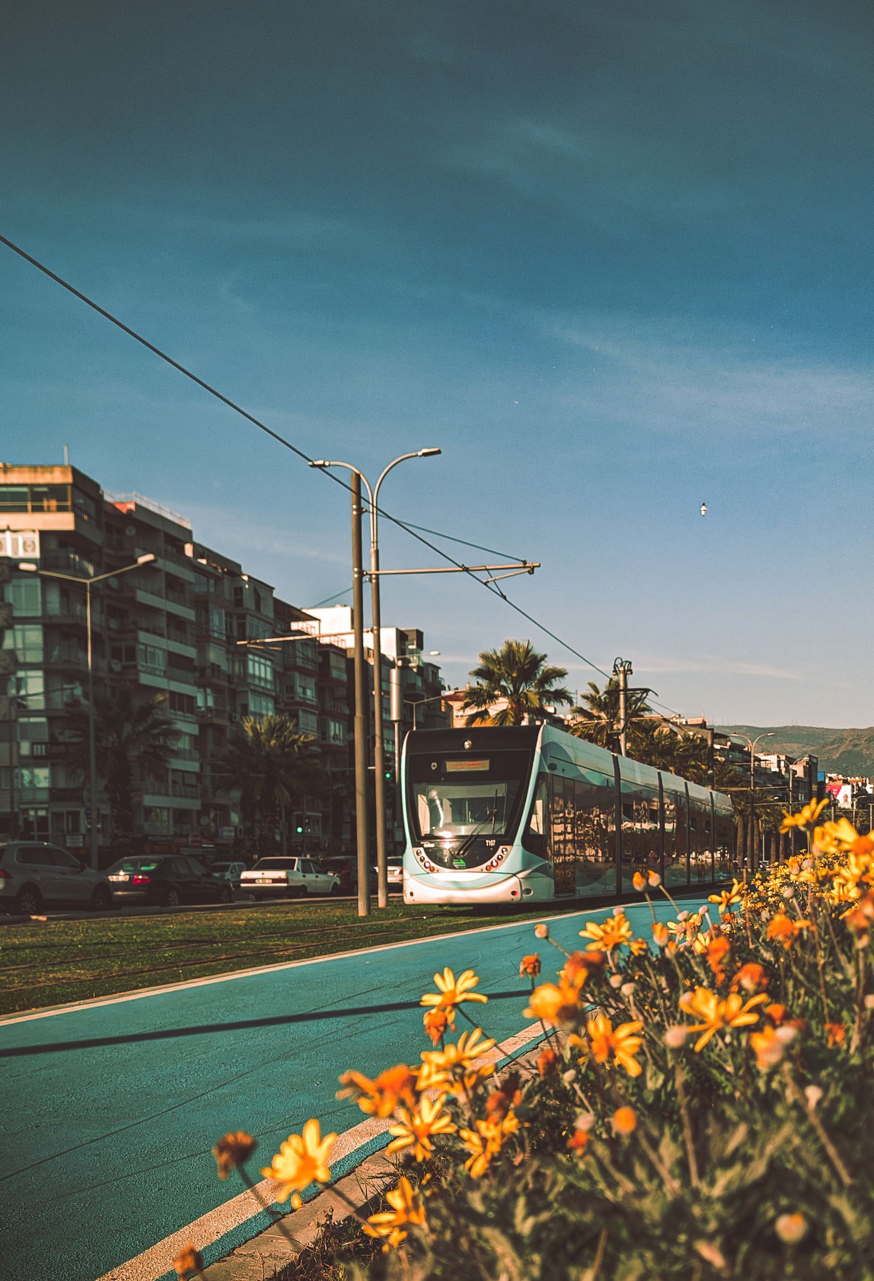 1782x2612 Cable Car in a City in Summer · Free