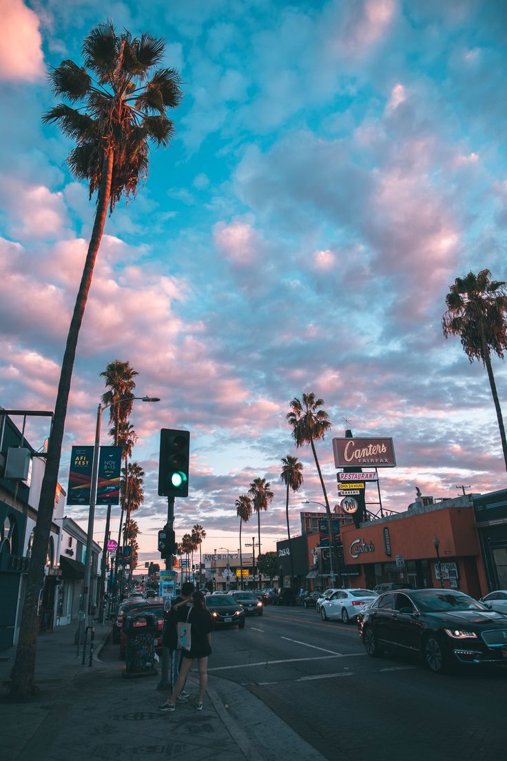 736x1104 Photo by Roberto Nickson. Summer vibes, Aesthetic wallpaper, Palm trees