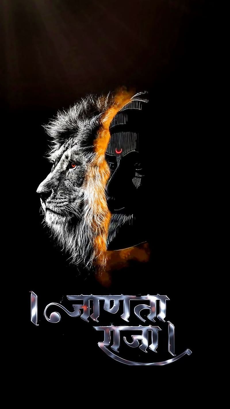 800x1422 Shivaji, janta raja, lord, god, maharaja, dom fighter, HD phone wallpaper