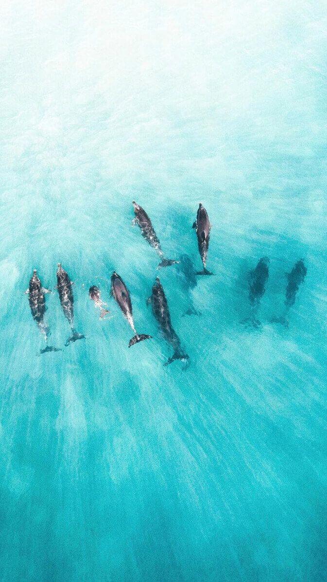 673x1196 Drone Wallpaper from the Best Aerial Photographers