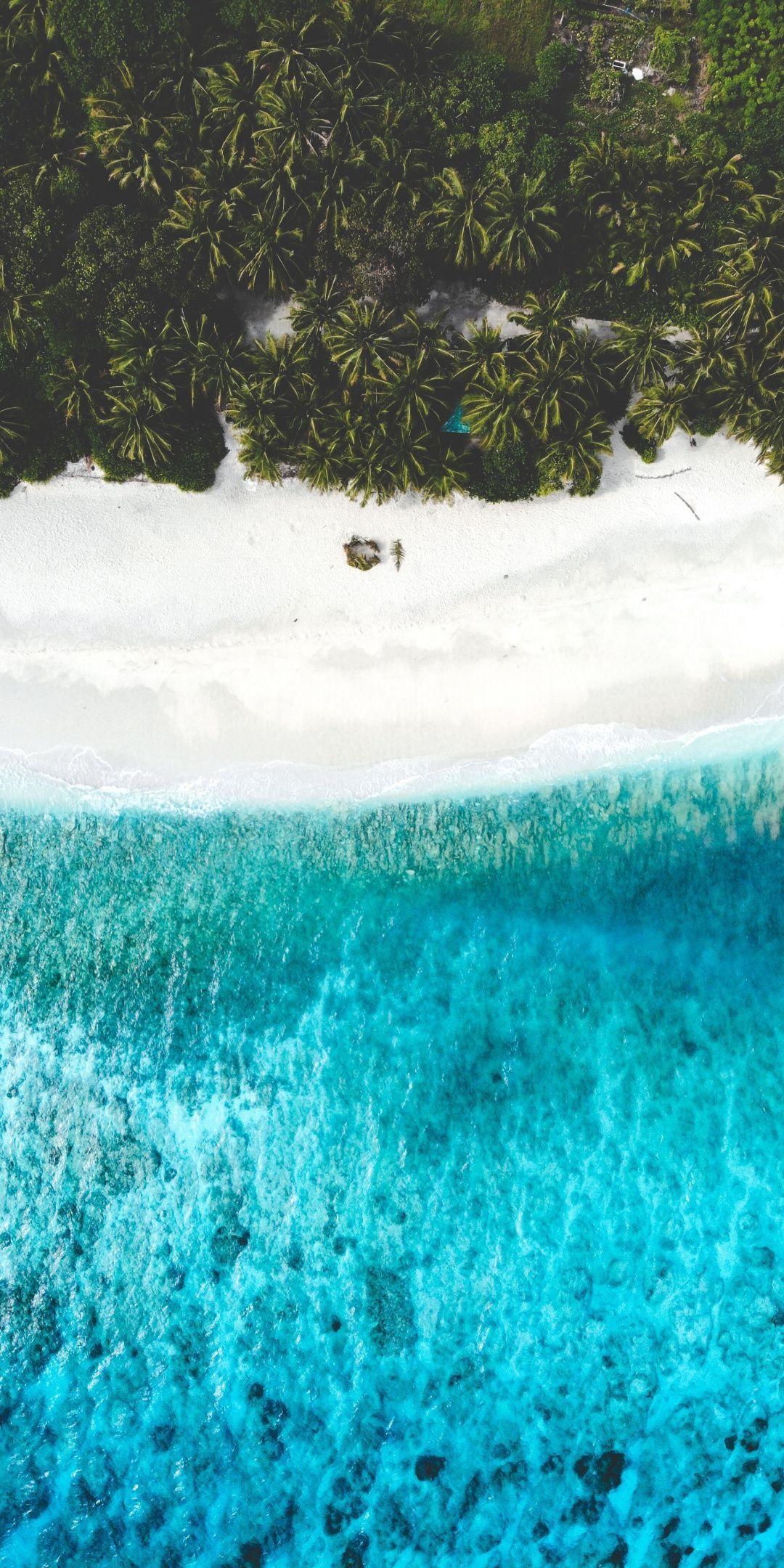 1080x2160 Palms, aerial view, beach, tropical sea, 1080x2160 wallpaper. Aerial photography drone, Aerial view, View wallpaper