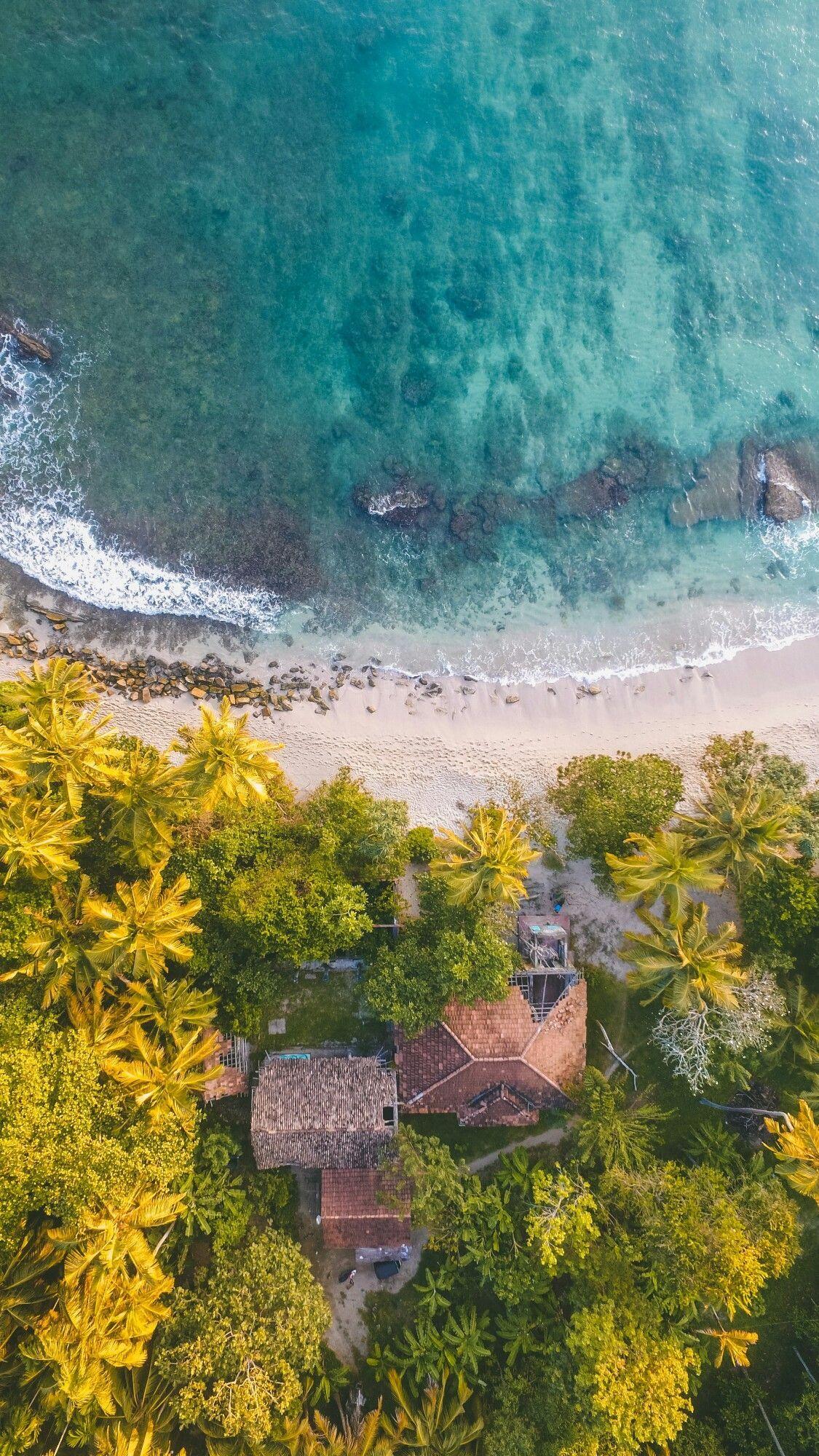 1125x2000 Drone View From Above, The Ocean, Palm Trees Care Is Giving