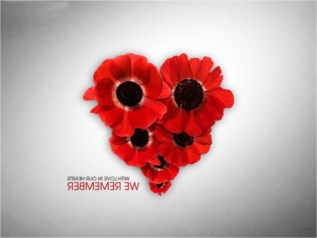 1026x770 Veterans Day Wallpaper, Cool HDQ Live Veterans Day Background