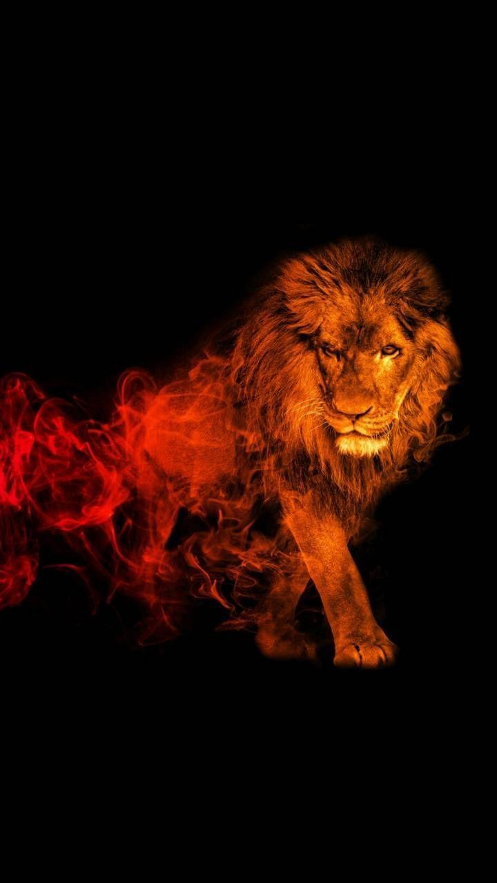 720x1280 Abstract Lion iPhone Wallpaper HD Wallpaper. Lion wallpaper iphone, Abstract lion, Lion HD wallpaper