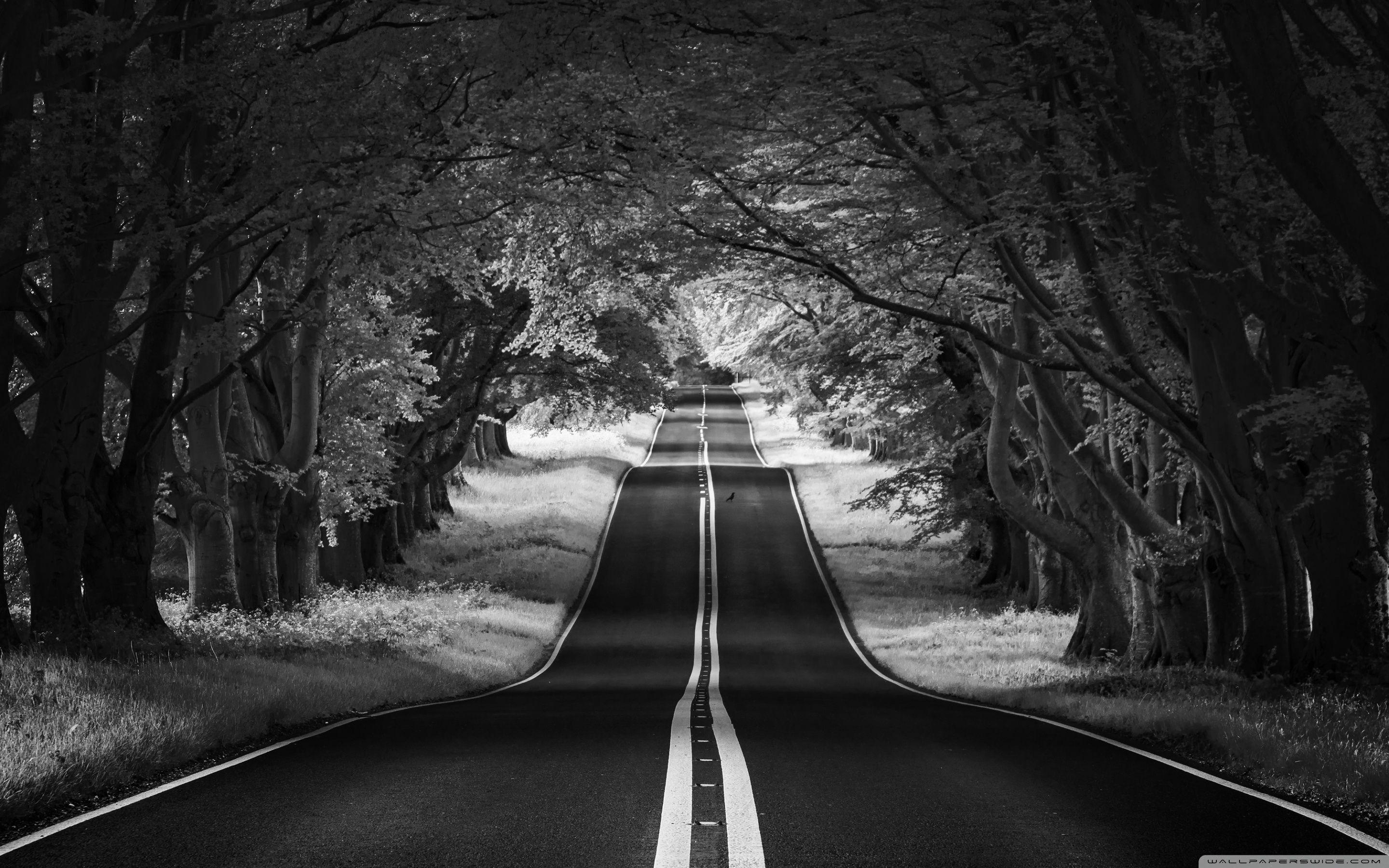 2880x1800 Road Landscape, Aesthetic, Black and White Ultra HD Desktop Background Wallpaper for 4K UHD TV : Widescreen & UltraWide Desktop & Laptop : Tablet