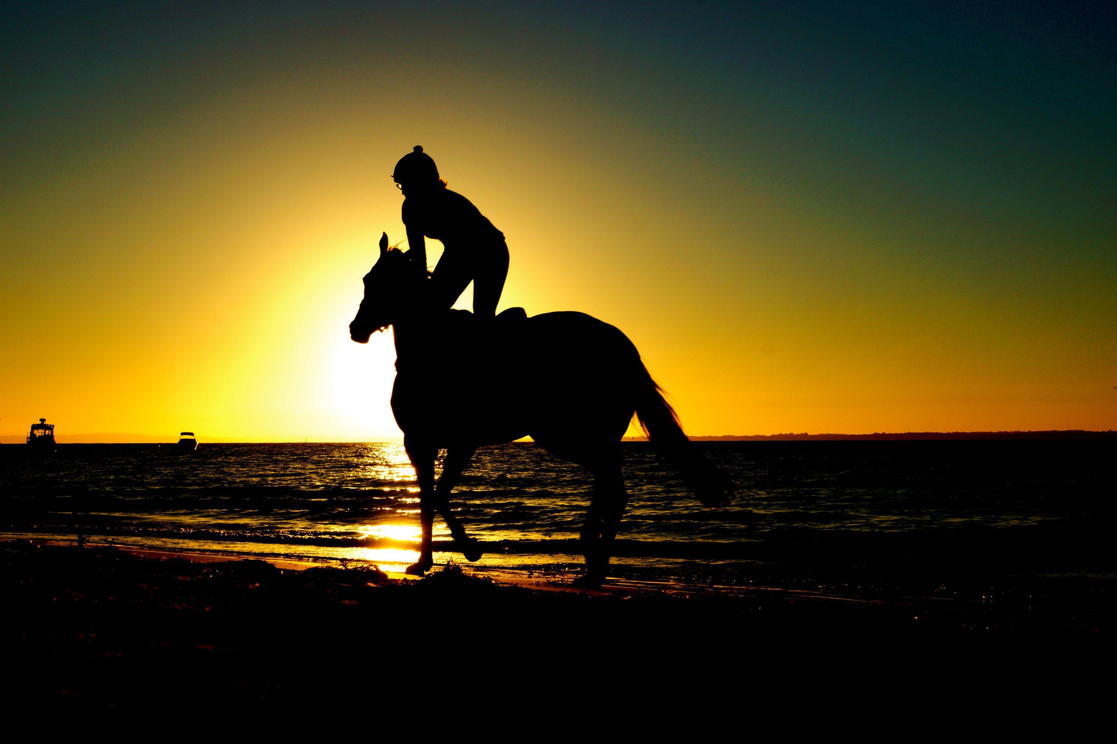 3840x2560 a silhouette of a person riding a horse along a beach during
