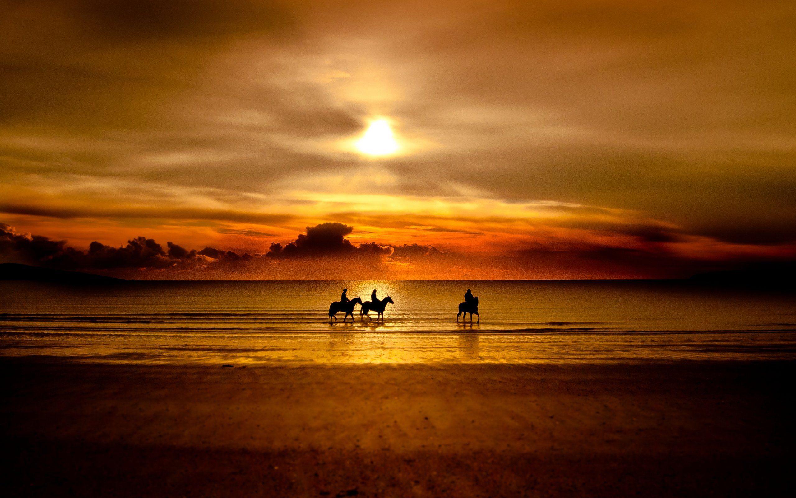 2560x1600 Silhouette Horse Photography at Beach