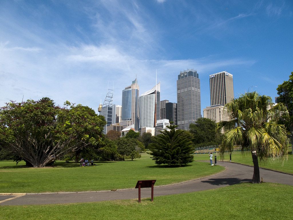 1024x768 Sydney City from the Park. A shot of the city from the park