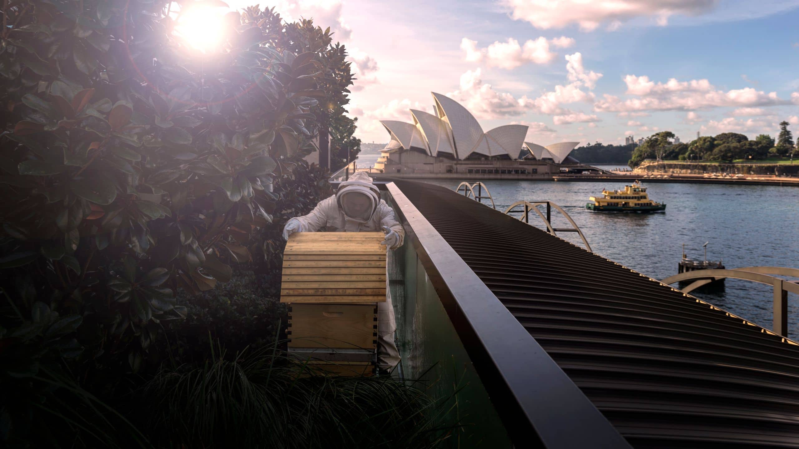 2560x1440 Sustainability at Park Hyatt Sydney