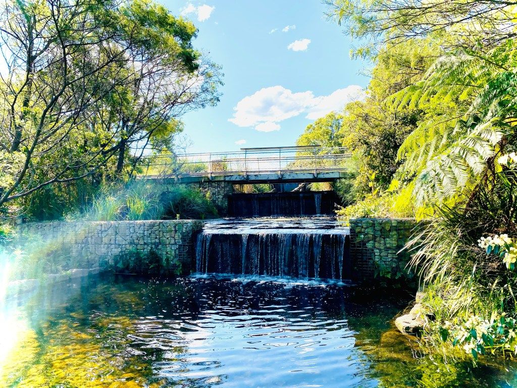 1024x768 Sydney Park, a whimsical piece of nature in the city