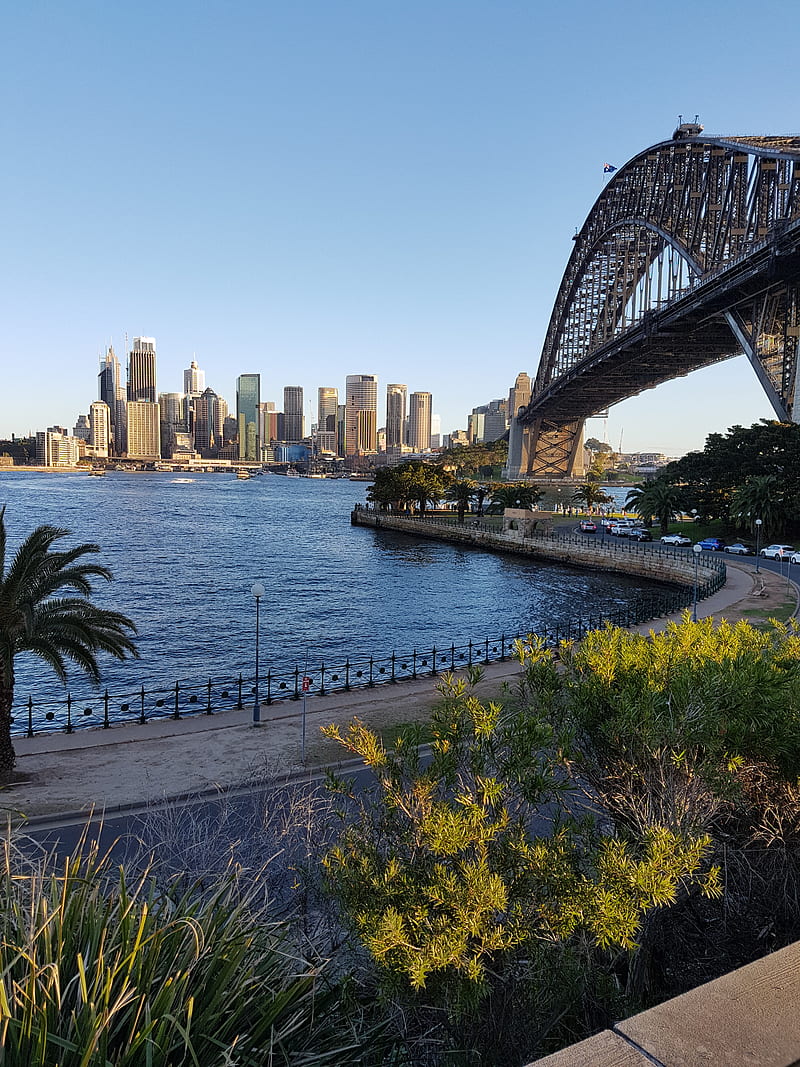 800x1067 Sydney Views, australia, bridge, scenic, sydney, HD phone wallpaper