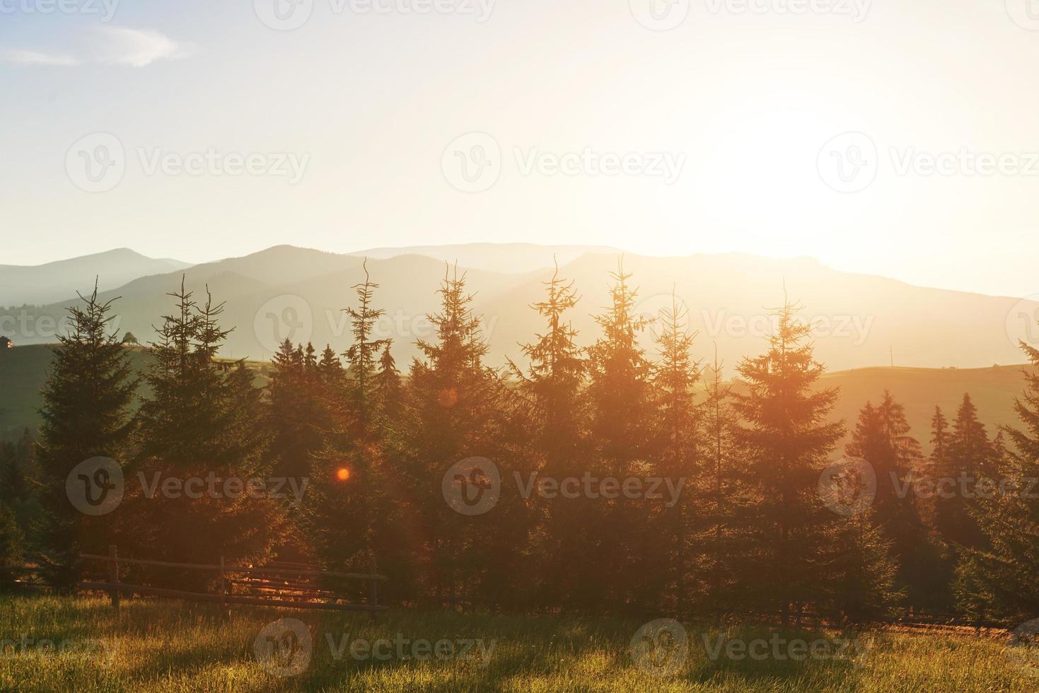 1469x980 beautiful autumn sunrise landscape in the Carpathian mountains, Europe travel, west Ukraine, Carpathian national park, wonderful world, wallpaper landscape background