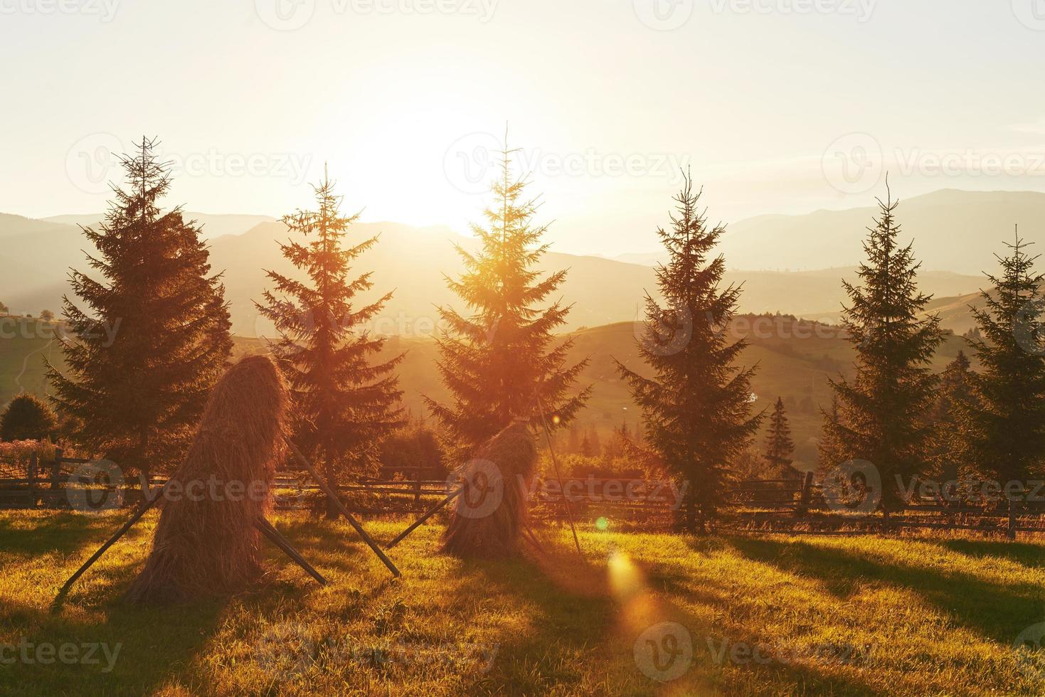 1469x980 beautiful autumn sunrise landscape in the Carpathian mountains, Europe travel, west Ukraine, Carpathian national park, wonderful world, wallpaper landscape background