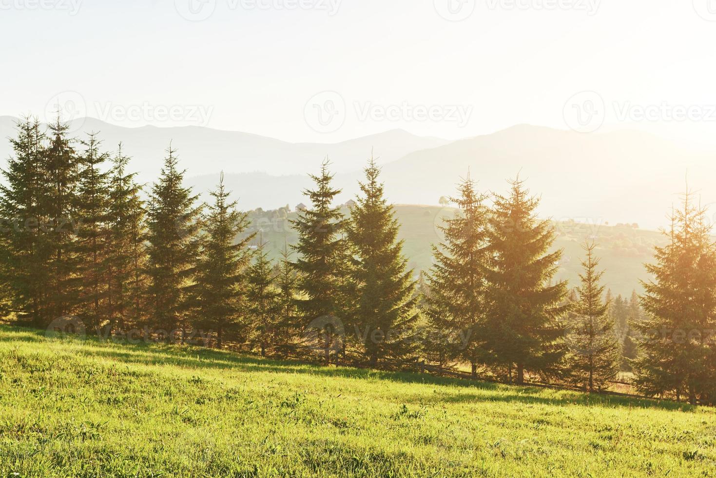 1469x980 beautiful autumn sunrise landscape in the Carpathian mountains, Europe travel, west Ukraine, Carpathian national park, wonderful world, wallpaper landscape background